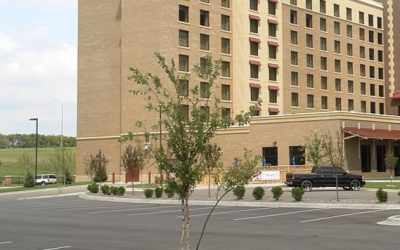 Park & Stay Hotels Near PDX: Are They Worth It?